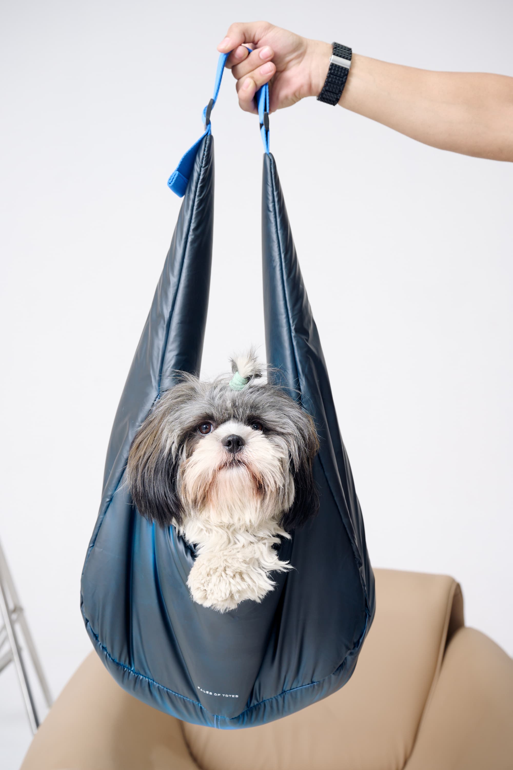 Dog in a blue pet hammock held by a person against a white background